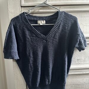 Navy Blue V-Neck Short Sleeve Sweater